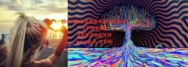 героин Вяземский