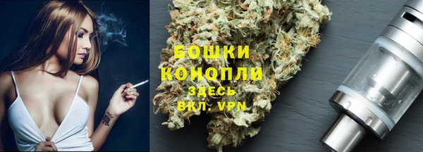 гашик Волоколамск