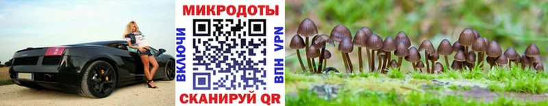 кракен как войти купить наркотик Данилов Галлюциногенные грибы ЛСД